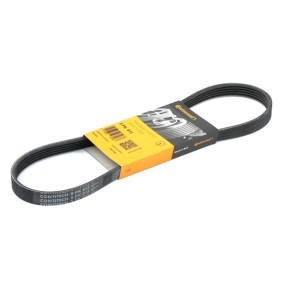 Купить CONTITECH Поликлиновой ремень 5PK813