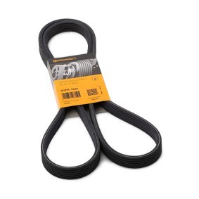 CONTITECH Serpentine belt 6DPK1825