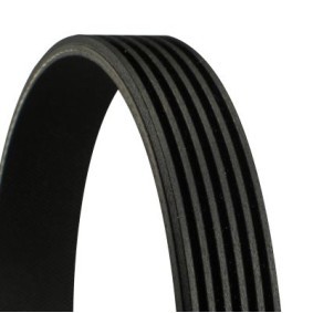 CONTITECH Courroie Poly-V 6PK1010