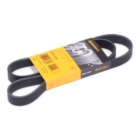 CONTITECH Multiriem 6PK1138