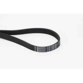 Pirkti CONTITECH V formos rumbuoti diržai 6PK1230