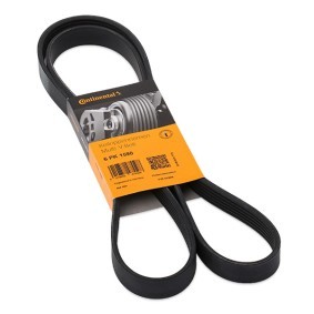 CONTITECH Keilrippenriemen 6PK1590