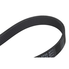CONTITECH Courroie Poly-V 6PK1733