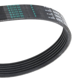 CONTITECH Keilrippenriemen 6PK2080