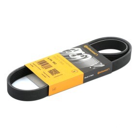 CONTITECH Keilrippenriemen 962mm, 6 6PK962