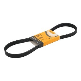 CONTITECH Courroie Poly-V 6PK995