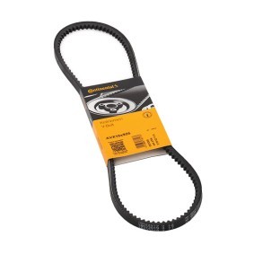 CONTITECH Courroie trapézoïdale 925mm AVX10X925