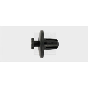 SWGAutomotive Clip, trim / protective strip 50070980