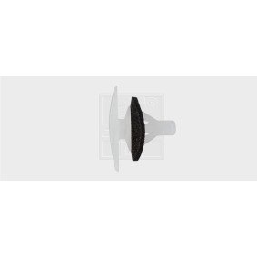 Spletna trgovina z SWGAutomotive Spojka 50091616
