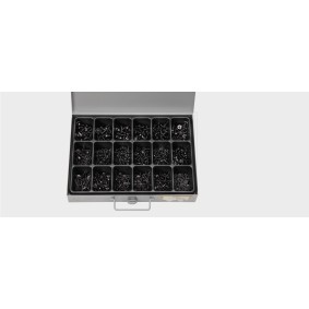 SWGAutomotive Schrauben-Set 957072175