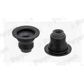 PAYEN Pakning, ventilstamme PA6134