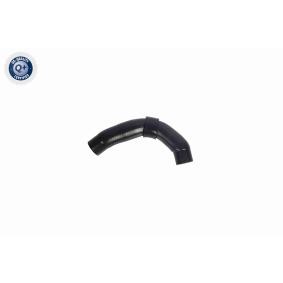 VAICO Jäähdyttimen letku V10-8870