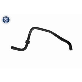 VAICO Kølerslange V10-8881