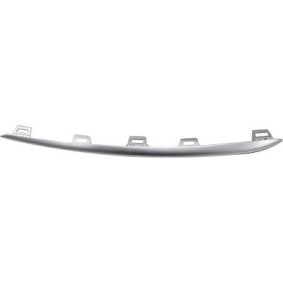 DIEDERICHS Trim / Protective Strip, radiator grille 1693364