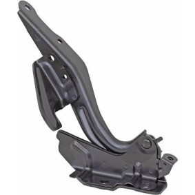 Купить DIEDERICHS Шарнир, капот 6244018