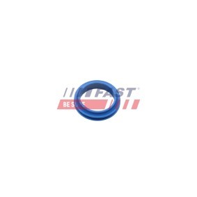 FAST Joint, jauge de niveau d'huile FT48955