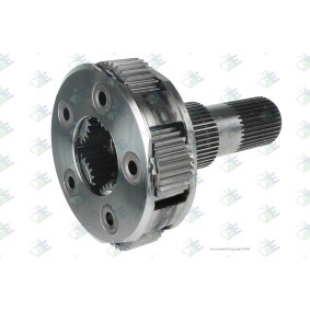 Euroricambi Planetary Wheel, outer planetary gear 60532610