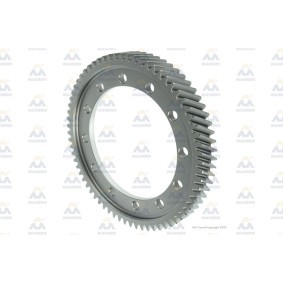 AM Gears Differensialgirkasse 12837