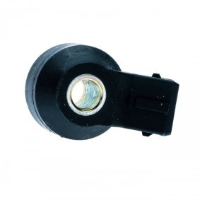 Spletna trgovina z EINPARTS Oktanski senzor EPS2180