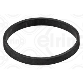 Pirkti ELRING Tarpiklis B10.080