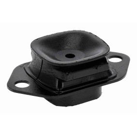 VAICO Motorfeste V21-0070