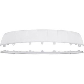 DIEDERICHS Enjoliveur, pare-chocs 1076261