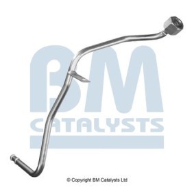 BM CATALYSTS Trykslange, tryksensor (sod- / partikelfilter) PP11617A