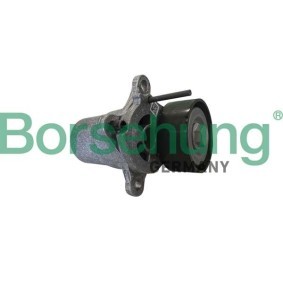 Borsehung Hihnankiristin, moniurahihna B12393