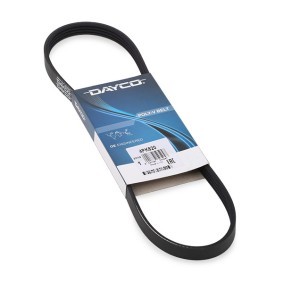 DAYCO Correa trapecial poli V 4PK820
