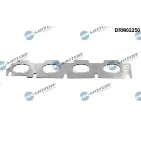 Spletna trgovina z DR.MOTOR AUTOMOTIVE Tesnilka, izpusni zbiralnik DRM02250