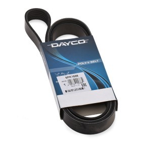 DAYCO Keilrippenriemen 1698,0mm, 6 6PK1698