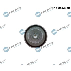 DR.MOTOR AUTOMOTIVE Kit de réparation, valve de commande de la pression DRM02442R