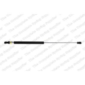 LESJÖFORS Kaasujousi, tavaratila 8192549