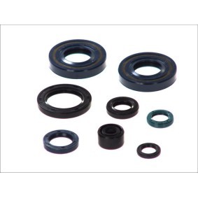 ATHENA Kit de anillos de retención, cigüeñal P400250400082