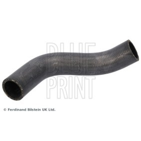 BLUE PRINT Radiatorslange ADBP930020