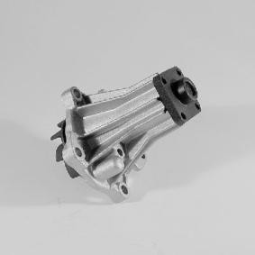 HEPU Vannpumpe P220