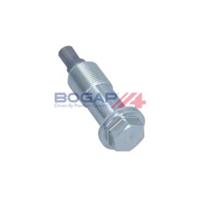 BOGAP Steuerkettenspanner C1312110