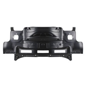 BLIC Panneau arrière 6503-05-9516650P