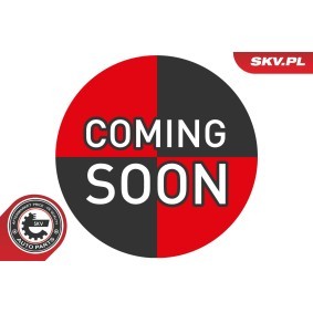 ESEN SKV Styreventil, kamakseljustering 39SKV077