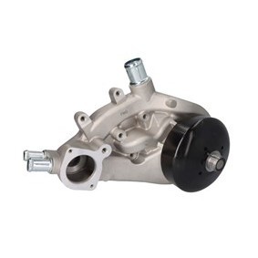 DNJ ENGINE COMPONENTS Vannpumpe WP3169