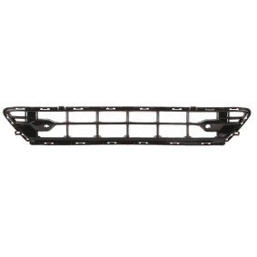 BLIC Grille de calandre 6502-07-9058911P