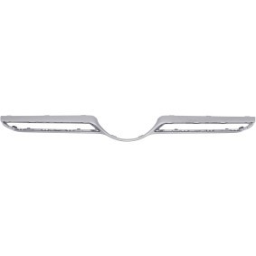 DIEDERICHS Trim / Protective Strip, radiator grille 1693043