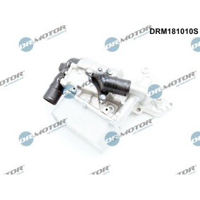 DR.MOTOR AUTOMOTIVE Ölfiltergehäuse DRM181010S