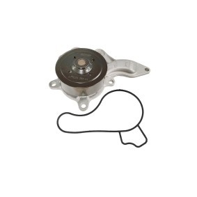 SKF Water pump VKPC 91871