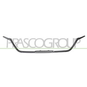 PRASCO Suoja- / koristelista, jäähdyttimen säleikkö RN9402206