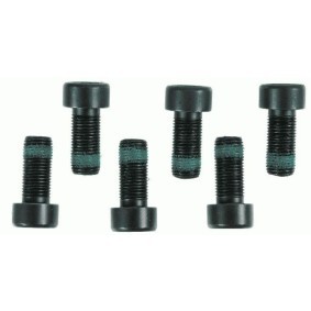 SACHS Skruesett svinghjul 1874 000 089