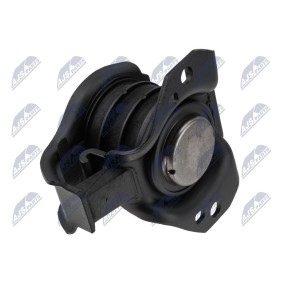 Spletna trgovina z NTY Vlezajenje, motor ZPS-NS-195