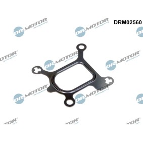DR.MOTOR AUTOMOTIVE Pakning, kølevæskeflange DRM02560