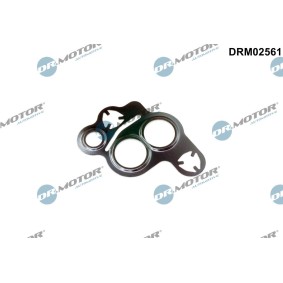 DR.MOTOR AUTOMOTIVE Joint, vanne EGR DRM02561