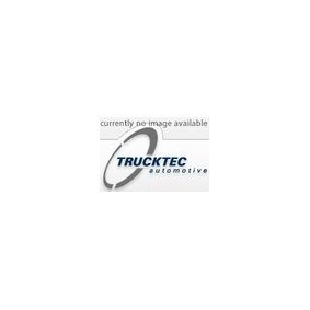 TRUCKTEC AUTOMOTIVE Tensor de correa poli V 07.19.055